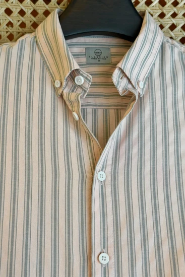 Dusty Pink with Sage Green Stripe Shirt