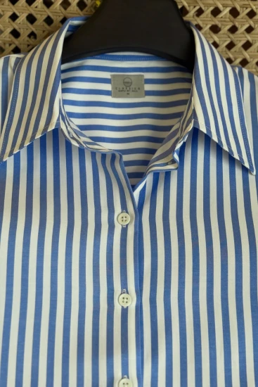 Female French Blue With White Stripe